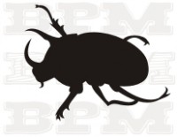 /album/hmyz/hmyz-36-jpg/